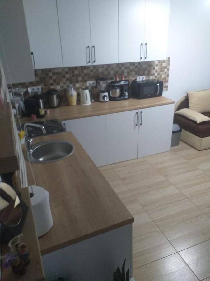 Fully Furnished Studio Sighetu Marmatiei Exterior photo