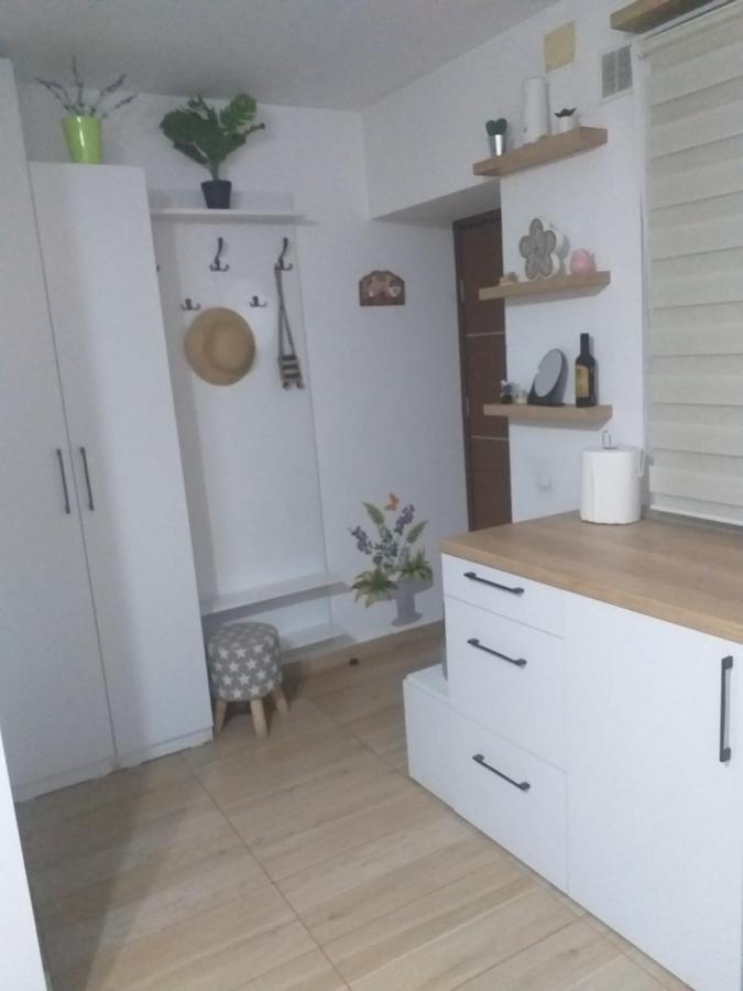 Fully Furnished Studio Sighetu Marmatiei Exterior photo
