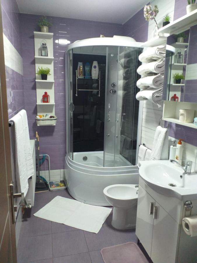 Fully Furnished Studio Sighetu Marmatiei Exterior photo