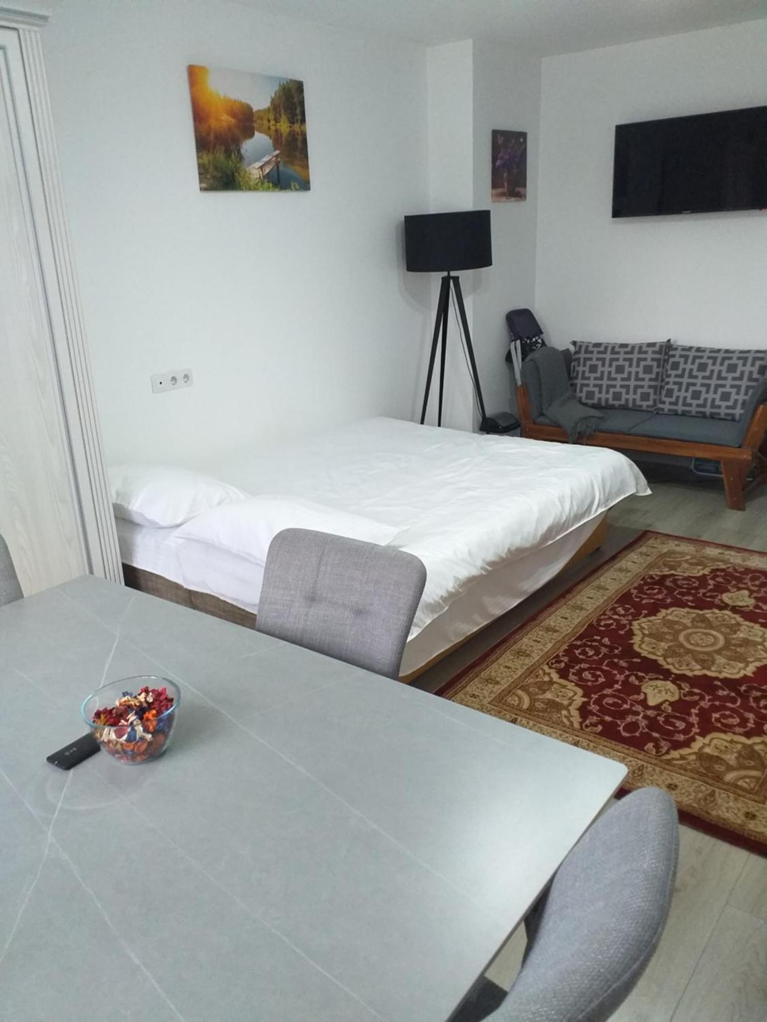 Fully Furnished Studio Sighetu Marmatiei Exterior photo