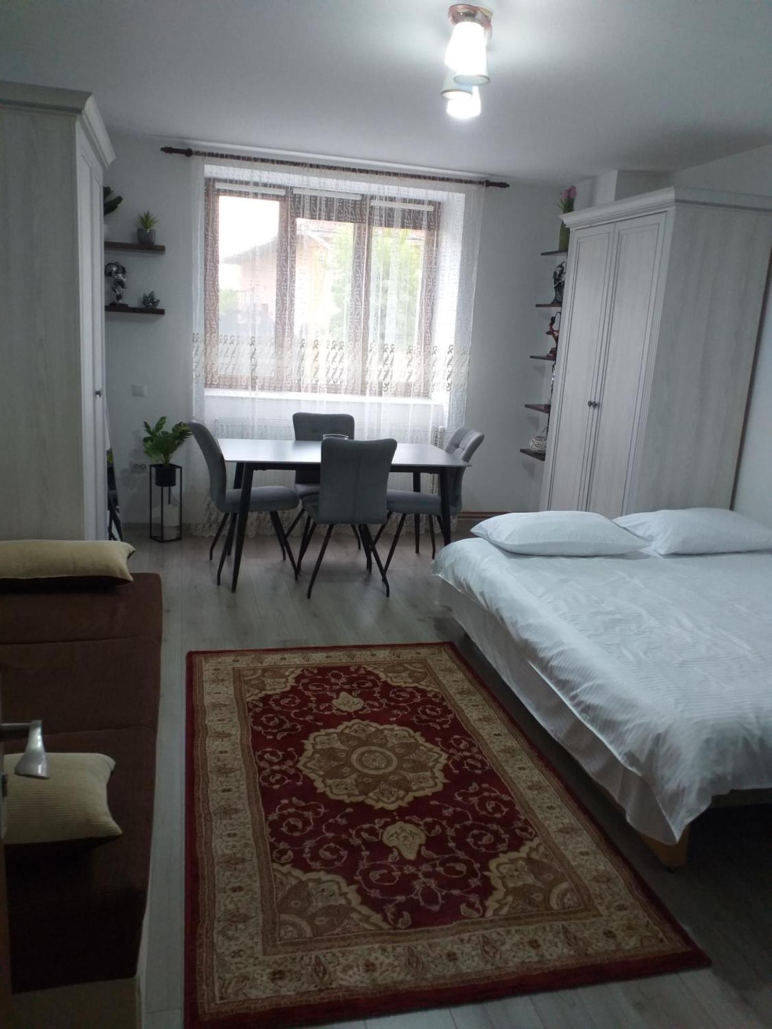 Fully Furnished Studio Sighetu Marmatiei Exterior photo